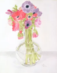 Anemonies, 1982 (farvet blyant på papir)