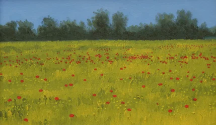 Gul mark med valmuer, 2002