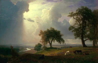 Californisk forår