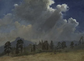 Grantræer og stormskyer, ca. 1870 (olie på papir monteret på lærred)