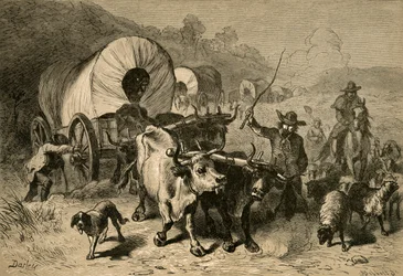 Emigration til det vestlige land, 1877.