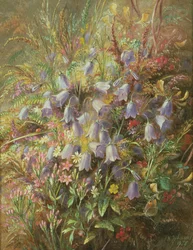 Harebells og andre skovblomster og græsser