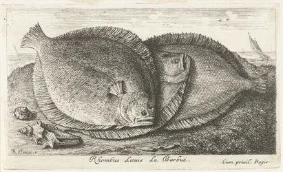 Tre unger på stranden Rhombus Laeuis La Barbuë (titel på objektet) Fisk og andre havdyr - saltvands tredje serie (serietitel) Poissons de mer (serietitel)