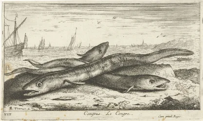 Tre havål på stranden Congress Le Congress. (titel på objekt) Fisk og andre havdyr - saltvands første serie (serietitel) Diverse Especes de Poissons de mer (serietitel)