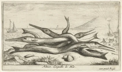Fastgjort på stranden Admos. Lesguille de Mer. (titel på objekt) Fisk og andre havdyr - saltvands tredje serie (serietitel) Poissons de mer (serietitel)