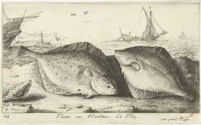 To rødspætter på stranden Flesus siue Fleteletus. La flez. (titel på objekt) Fisk og andre havdyr - saltvands første serie (serietitel) Diverse Especes de Poissons de mer (serietitel)