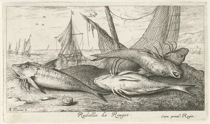 Fire røde multer på stranden Rubellio Le Rouget. (titel på objekt) Fisk og andre havdyr - saltvands anden serie (serietitel) Poissons de mer (serietitel)