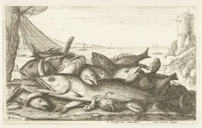 Eremitkrebs fiskeri Forskellige fiskearter (serietitel) Diverse Especes De Poissons tant de Mer, que d