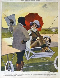 Fly (farve litho)