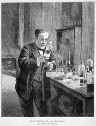 Louis Pasteur i sit laboratorium ifølge maleriet af edelfelt