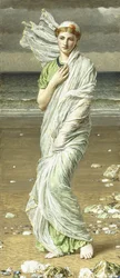 Muslingeskaller, 1875