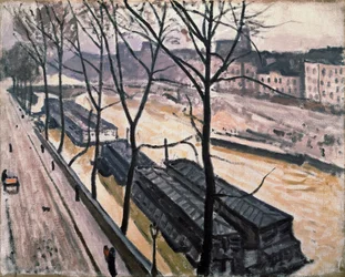 Paris om vinteren. Quai Bourbon, 1907.