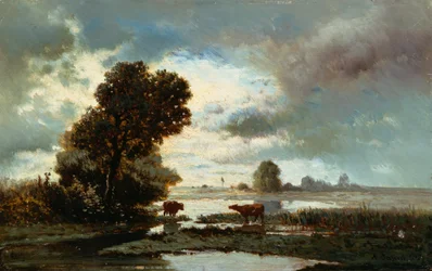 Græsningsland ved floden