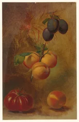Stilleben med blommer, abrikoser og tomat