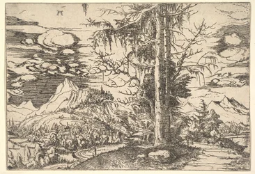 Landskab med dobbeltgran, ca. 1521-22.