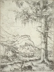 Den store gran, c.1520