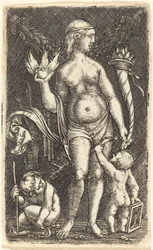 Venus og Amorer