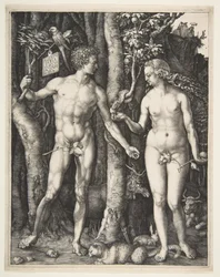 Adam og Eva, 1504