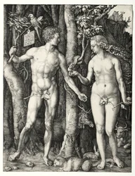 Adam og Eva, 1504.