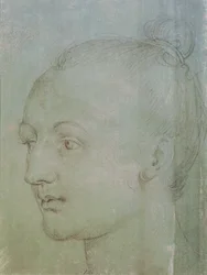 Head of a Young Woman (sort kridt forhøjet med hvidt kridt på grønt papir)