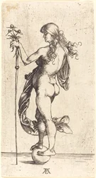Lille Fortune