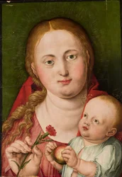 Madonna med Barnet og en nellike