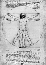 Den menneskelige figurs proportioner, ca. 1492, 1936