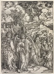 Johannes