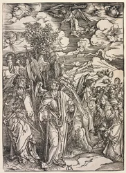 Johannes