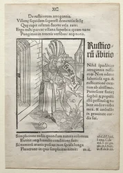 Dårernes skib, efter 1497.