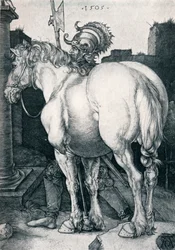 Den store hest, 1505 1906