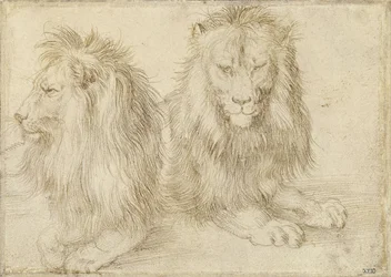 To siddende løver, 1521