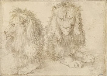 To liggende løver. 1521