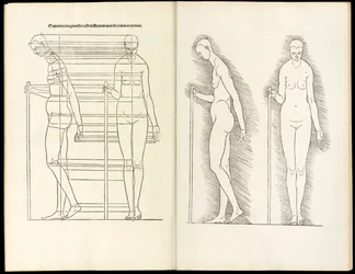 Kvinde med stav, anatomisk træsnit fra Heri er forstået fire bøger af menneskelig proportion, 1528