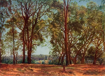 I Aricci Park, 1830