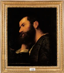 Portrait of the poet Pietro Aretino, bust-length, resting his head on his right hand by a ledge with a plantdani