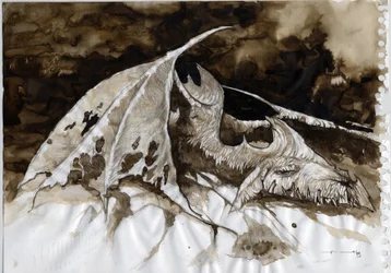 Illustration af et fantastisk og legendarisk dyr: dødt dragekrop. Farvetegning af Alessandro Lonati.