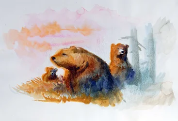 Naturlig bjørnefamilie Illustration af Alessandro Lonati