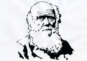 Portræt af Charles Darwin - Portræt af den engelske naturforsker Charles Darwin (1809-1882) Illustration