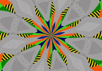 Clover, 2019, (blandet medier)
