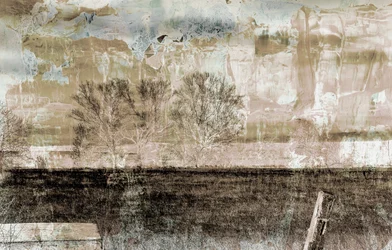 brun tåge, 2019, (blandet medier)