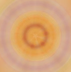 plader, 2019, (blandet medier)
