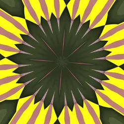 solsikke, 2019, (digital)