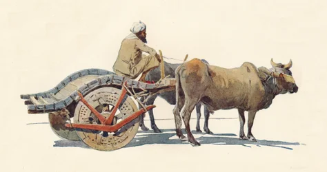 A Bullock Cart, Jodhpur, c1880 1905.
