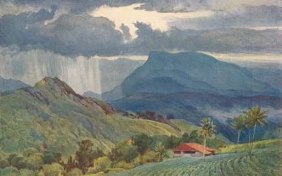 Et tropisk brusebad, c1880 1905.