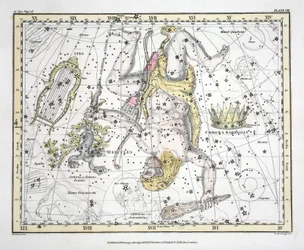 The Constellations (Plade VIII) Corona Borealis, Hercules and Cerberus, Lyra, fra 