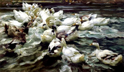 Ducks Gathering (olie på lærred)