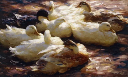 Ænder på en flodbred