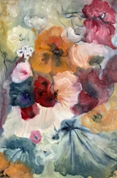 Farverige valmuer blomstrer