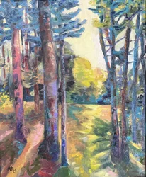 Solbeskinnet skovsti